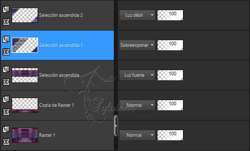 palet 2